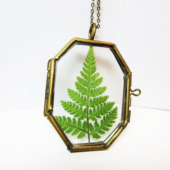 Fern Necklace Pressed Fern charm dried ferm Terrarium pendant Botanical locket - Picture 11 of 11
